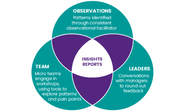 Online L&D Venn diagram-01